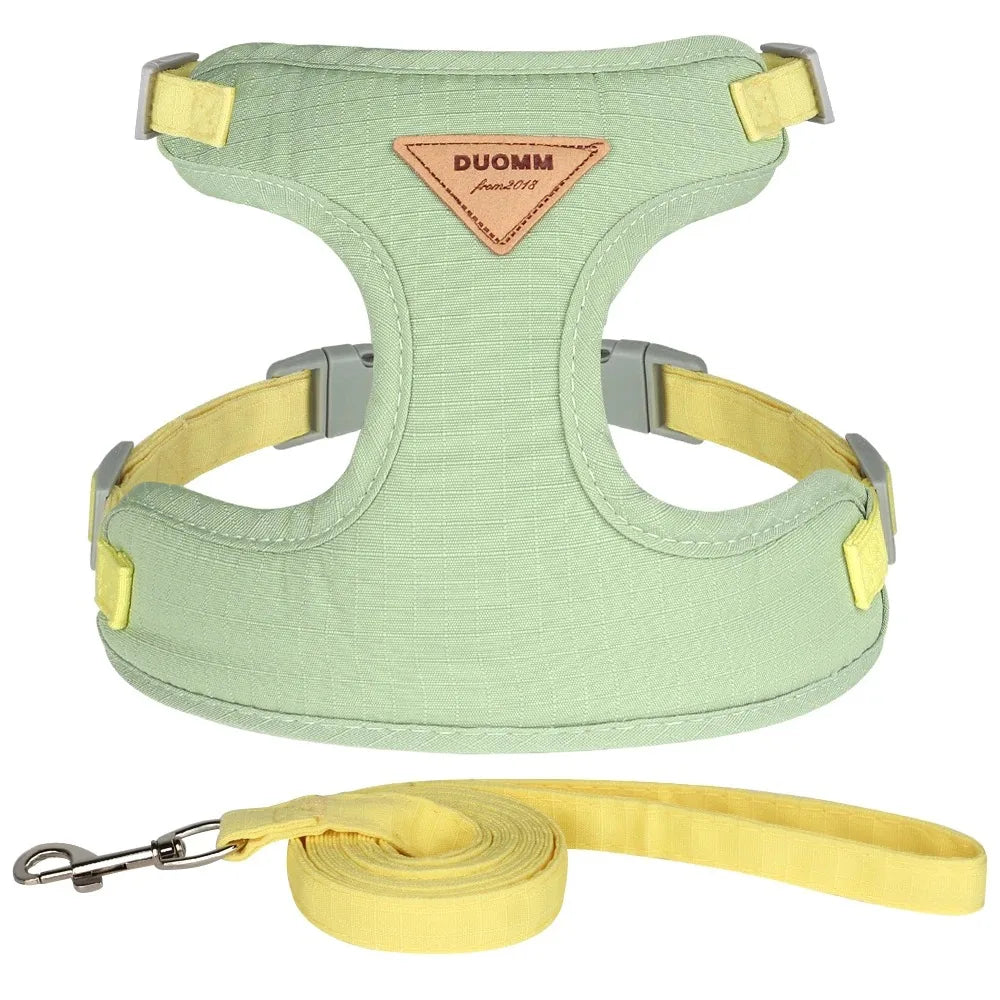 Pet Products for Cats Detachable Collar for cats and kittens