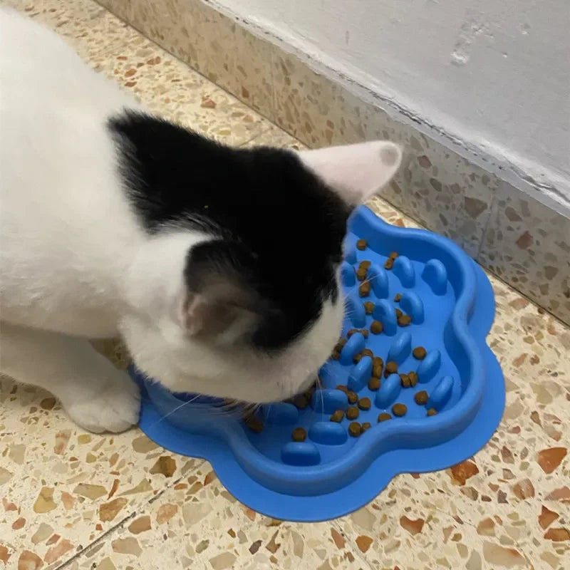 Pet feeding bowl. Slow food silicone bowls for your furry friends.
